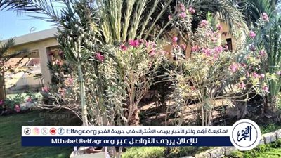 تعليم الفيوم تحصد مركز أول جمهورية في مسابقة أجمل حديقة مدرسية