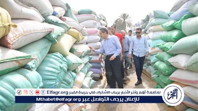 محافظ الغربية يتابع أعمال توريد القمح بشونة محلة أبو علي