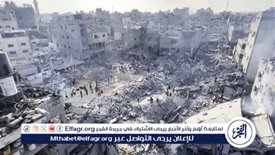 أستاذ علوم سياسية: مصر تبذل جهودا مكثفة وعلى كافة المستويات لإنهاء حرب غزة (فيديو)