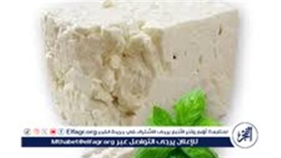 بطعم ولا اروع..طريقة عمل الجبنة البراميلي في المنزل بطريقة المصانع