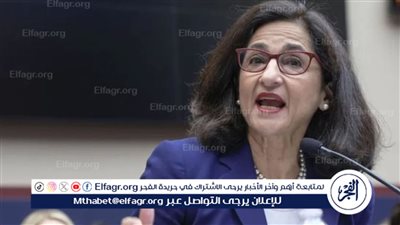 من الاستقالة إلى منصب استشاري في الحكومة البريطانية.. نعمت شفيق تعود إلى الواجهة