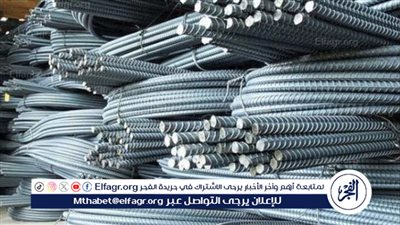 أسعار الحديد اليوم.. انخفاض بنسبة 100 جنيه للطن