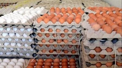 عاجل | انخفاض حاد في أسعار البيض.. دعوة للمقاطعة وتراجع التكلفة أبرز الأسباب (تفاصيل)