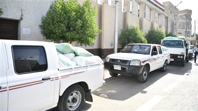 إحباط محاولة بيع كمية من الدقيق البلدي المدعم في السوق السوداء بقنا