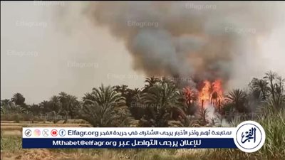 حريق ضخم في كرم نخيل يضم 200 شجرة جنوب الأقصر
