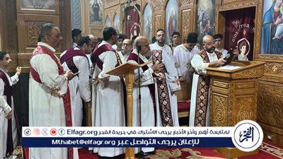 سعف النخيل وأجواء مبهجة