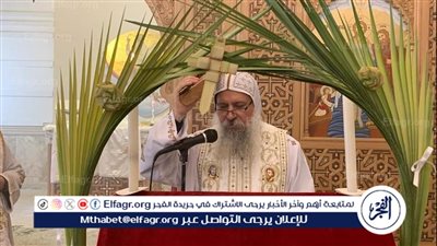 كنائس وأديرة الدقهلية تحتفل بأحد السعف (صور)