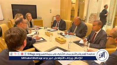 وزيرا خارجية مصر والنرويج يبحثان الأوضاع الإنسانية في قطاع غزة