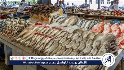 سعر السمك اليوم الاحد 28 إبريل في الأسواق