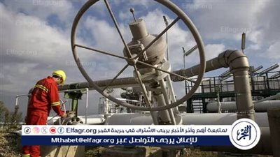 أنقرة: روسيا أنقذت تركيا من أزمة الطاقة التي عصفت بالغرب