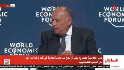 وزير الخارجية يطالب بحل دائم للقضية الفلسطينية لوقف دائرة العنف في المنطقة (فيديو)