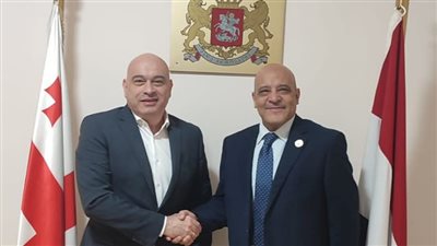 سفير دولة جورجيا يستقبل رئيس جامعة أسوان لبحث سبل التعاون المشترك