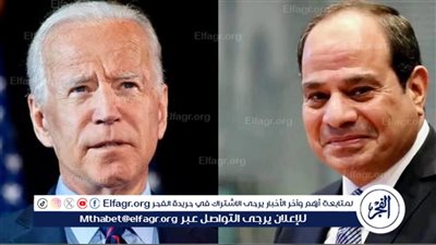 خبير سياسي: مصر تبذل جهودا مكثفة للتوصل إلى هدنة في غزة (فيديو)