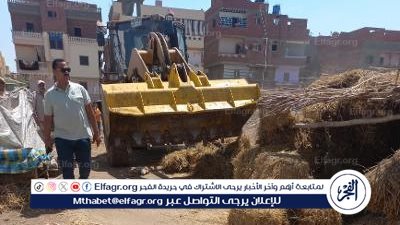 محافظ الدقهلية: 252 قرار إزالة إجمالي ما تم تنفيذه منذ بداية المرحلة الثالثة من الموجة 22 