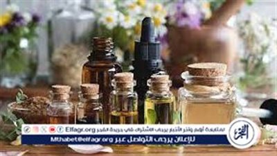 أفضل زيوت للشعر.. تغذية وترطيب لشعر صحي وجميل