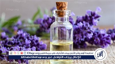 أهمية زيت اللافندر.. تعرف على فوائدة الصحية واستخداماته متعددة