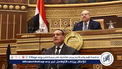 وزير التنمية المحلية: نعمل للحفاظ على الرقعة الزراعية بالتنسيق مع الداخلية في مواجهة أي تعديات