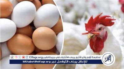 اسعار البيض والدواجن اليوم الأربعاء 1-5- 2024 في الدقهلية