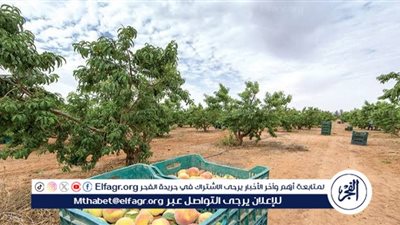 زراعة الجوف تغرس 250 شجرة في سكاكا بمشاركة الطلاب والقطاع الخاص ضمن أسبوع البيئة