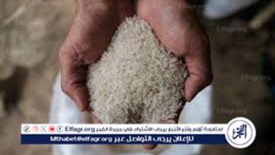 سعر الأرز والشعير اليوم الجمعة 3/5/2024 في الأسواق والمتاجر المحلي والمستورد