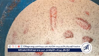 ضبط مخلل فاسد وغير صالح للاستهلاك الآدمي بالفيوم 
