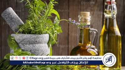 البحوث الزراعية: حجم استيرادنا من الزيوت يصل لـ98%