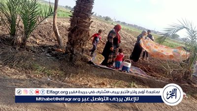 شاهد.. مظاهر الاحتفال بشم النسيم في أرياف الدقهلية (صور)