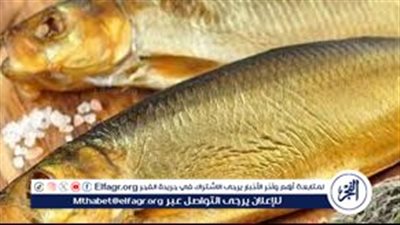 اسعار الفسيخ والرنجه اليوم الاثنين 2024/4/6 في يوم شم النسيم بجميع المحلات والاسواق