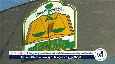 العدل: إحالة محام إلى لجنة تأديب المحامين لمخالفته قواعد السلوك المهني