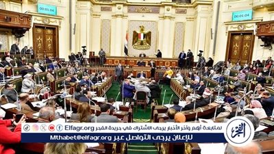 برلماني يكشف تفاصيل تقدمه بطلب إحاطة بشأن تزايد أعداد الوافدين بالجامعات المصرية 