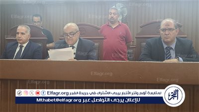 إحالة أوراق طالب هتك عرض طفلة للمفتي 