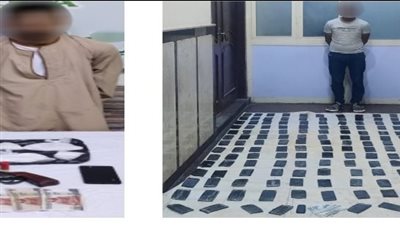 ضبط 2 من العناصر الإجرامية بنطاق محافظتي 