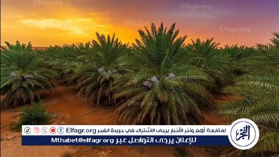 644 مليون ريال قيمة صادرات التمور السعودية في الربع الأول من 2024