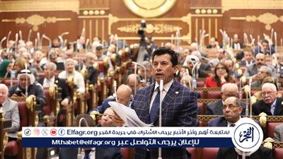وزير الشباب أمام الشيوخ: زيادة حجم الاستثمارات الرياضية لـ 7 مليارات جنيه