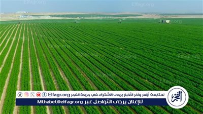 أستاذ زراعة يكشف أهمية مشروع مستقبل مصر والسعة التخزينية لمجمع الصوامع 