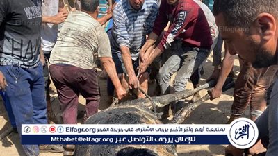 نفوق 3 مواشي وآلة بخارية إثر نشوب حريق في حظيرة بالمنوفية