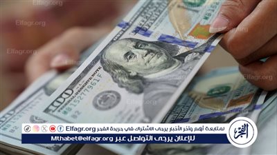 كيف نمنع تكرار أزمة الدولار مجددا؟.. خبير اقتصادي يوضح