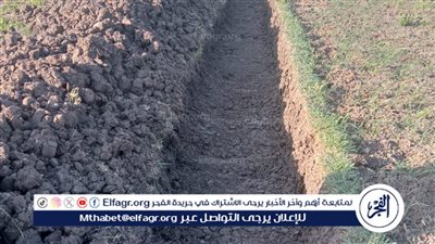 إزالة حالة تعد على الأراضي الزراعية بمركز الفيوم 