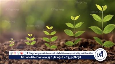 تعزيز صحة النباتات من خلال التكنولوجيا: التحديات والابتكارات