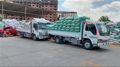 التموين: وصول نسب توريد القمح في مواقع الاستلام إلى 2 مليون و400 ألف طن