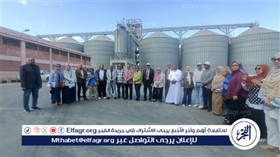 صوامع الذهب الأصفر تستقبل 55 الف طن من القمح في الإسكندرية