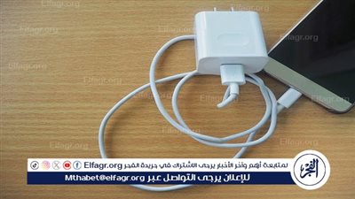 بسبب شاحن الهاتف.. فتي يقتل شقيقته بسكين المطبخ