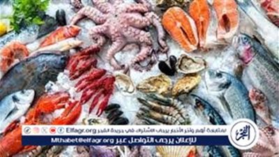 أسعار المأكولات البحرية والجمبري اليوم الأربعاء 2-10-2024 في محافظة قنا