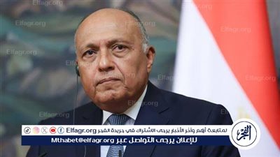 عاجل| شكري: إنهاء الحرب في غزة يتصدر أولويات القادة العرب بقمة المنامة