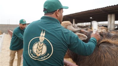 بيت الزكاة والصدقات يطلق حملة كبرى لصك الأضحية البلدي