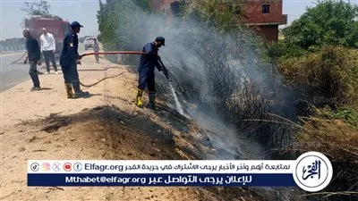 السيطرة على حريق ببركة بوص وحشائش بقرية المحسمة في الإسماعيلية 