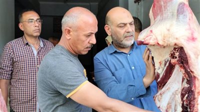 ضبط 200 كجم لحوم مجمدة وأسماك غير صالحة للاستهلاك الآدمي بالمنوفية