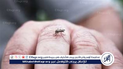 منظمة الصحة العالمية تعلن عن اجتياز لقاح جديد لحمى الضنك اختبار الصلاحية