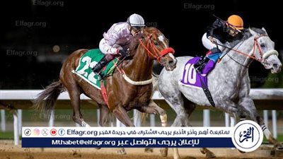 انطلاق موسم سباقات الطائف 2024 في الـ 4 من يوليو المقبل