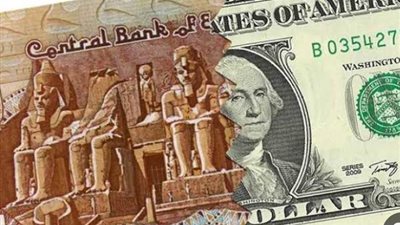 الاخضر كام النهاردة؟.. سعر الدولار في مصر اليوم الجمعة 17 - 5 - 2024